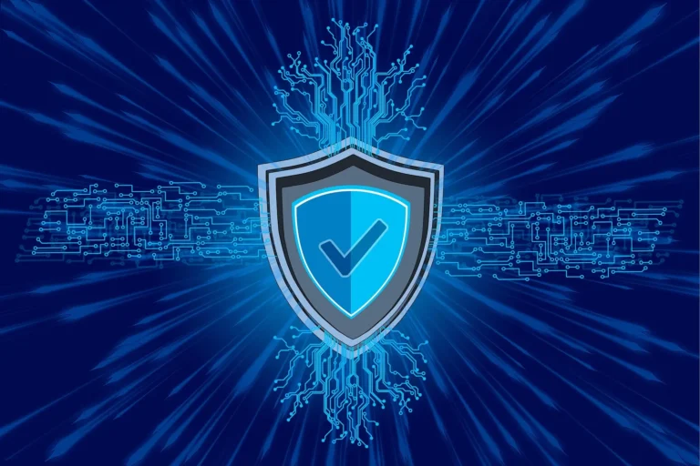 Privacy Policy for The Spike Mod Game
